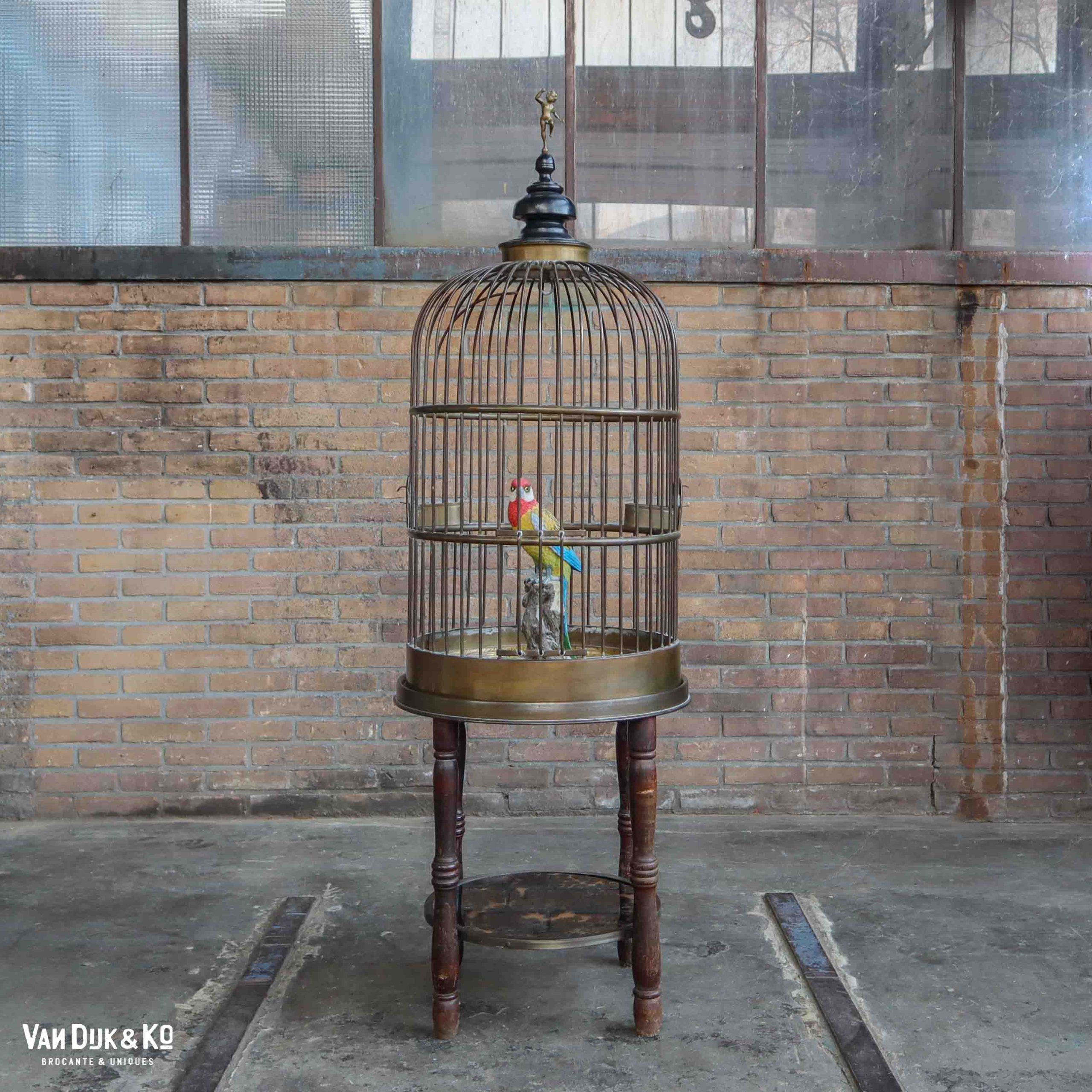 Twisted krom Bungalow Vintage vogelkooi met (nep) papegaai » Van Dijk & Ko